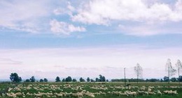 obrázek - Waimangu Volcanic Valley