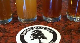 obrázek - Tahoe Mountain Brewing Co.
