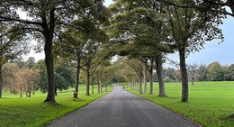 obrázek - Roundhay Park Lake