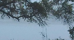 obrázek - Lanark Market