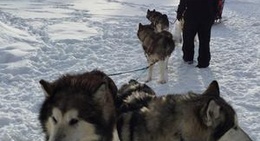obrázek - Nordisk Vildmarksupplevelse