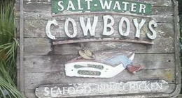 obrázek - Salt Water Cowboys