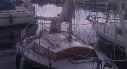 obrázek - Stormvogel