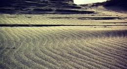 obrázek - Nakatajima Sand Dune (中田島砂丘)