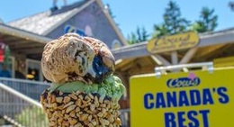 obrázek - COWS Cavendish Boardwalk