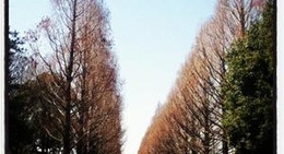 obrázek - 平塚市総合公園