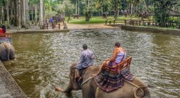 obrázek - Elephant Safari Park