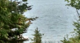 obrázek - Les Cheneaux Islands