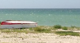 obrázek - San Benito