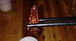 obrázek - 朋友烧烤