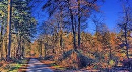 obrázek - Waldsportpfad