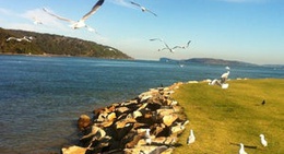 obrázek - Ettalong Beach Foreshore Reserve