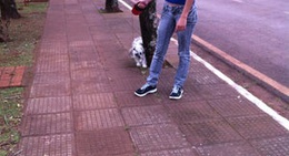 obrázek - Plaza de Bella Vista