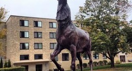 obrázek - Fairfield University