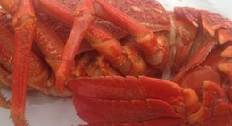 obrázek - Hapuka Beach