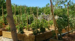 obrázek - Farm Soleil