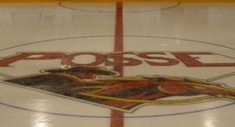 obrázek - Princeton Arena