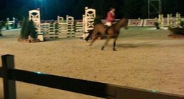 obrázek - Конюшня Бутенко / Butenko Stable