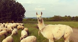 obrázek - Meerfelder Maar