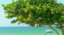 obrázek - Chicxulub