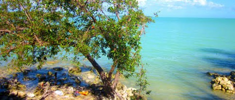 obrázek - Calderitas