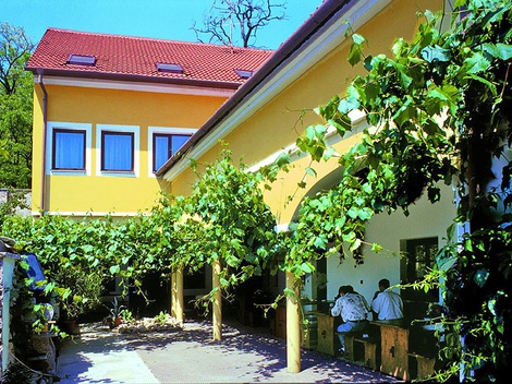 obrázek - Jižní Morava v hotelu s degustací vína