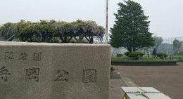 obrázek - 舟岡公園