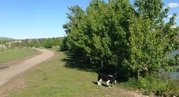 obrázek - Off Leash Dog Park