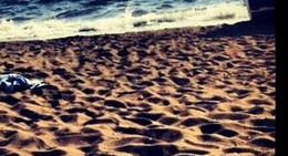 obrázek - Dikili sahil