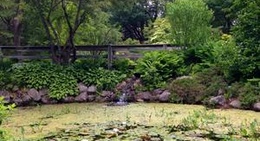 obrázek - Annapolis Royal Historic Gardens