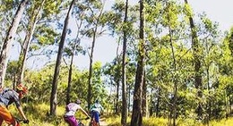 obrázek - Wooroi Tracks