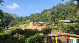 obrázek - Grand Etang National Park