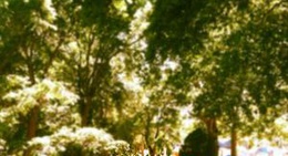 obrázek - Prosser City Park