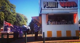 obrázek - The Peanut Van