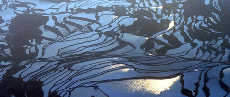 obrázek - Jüan-jang