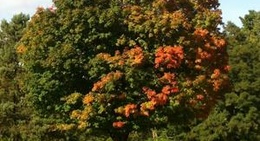 obrázek - Big Bay Point Golf and Country Club