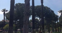 obrázek - Faruk Serpil Parki