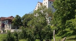 obrázek - Schloss Wildegg