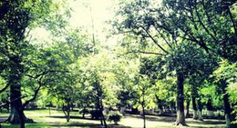 obrázek - Bosque Cuauhtémoc