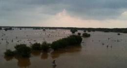 obrázek - Mirador Sisal