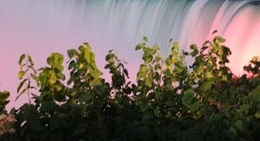 obrázek - City of Niagara Falls, ON