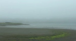 obrázek - McCormack's Beach Provincial Park