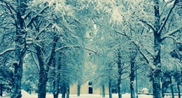 obrázek - Ramsele City