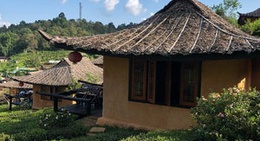 obrázek - ต้าเหล่าซือ