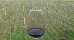 obrázek - Château Trapaud - Saint Emilion Grand Cru