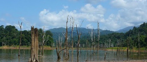 obrázek - Ratchaprapha