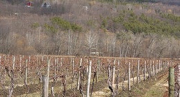 obrázek - Naples Community Park