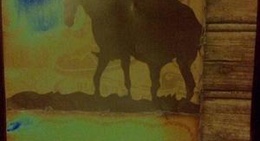 obrázek - Branding Iron