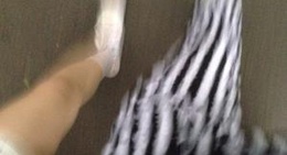 obrázek - 中坡山森林公園