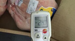 obrázek - Marjane Bab Sahra